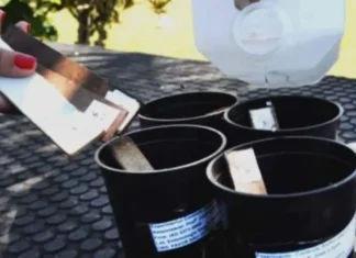 Dengue: capacitación y entrega de ovitrampas para controlar el vector