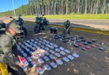 Secuestran celulares y perfumes ilegales valuados en más de $29 millones
