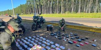 Secuestran celulares y perfumes ilegales valuados en más de $29 millones