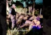 Una mujer se desorientó en un camino rural y la hallaron bajo un árbol
