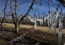 Alerta amarilla por frío extremo: qué dice el informe del Servicio Meteorológico Nacional en cuatro provincias