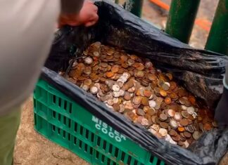 Sorpresa en las Cataratas del Iguazú: encontraron 400 kilos de monedas