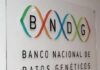 Un fallo judicial aseguró el funcionamiento del Banco Nacional de Datos Genéticos
