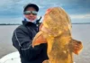 Pescaron un manguruyú de 20 kilos en Esquina