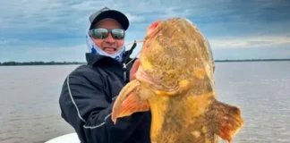 Pescaron un manguruyú de 20 kilos en Esquina y lo devolvieron al río Paraná
