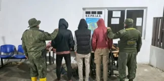 Caza furtiva en Corrientes: secuestraron armas, carne