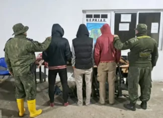 Caza furtiva en Corrientes: secuestraron armas, carne