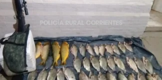 Demoraron a cuatro personas con dorados, un guazuncho y un rifle