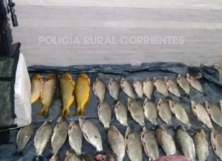 Demoraron a cuatro personas con dorados, un guazuncho y un rifle