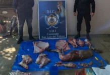 Vendían carne ilegal en comercios de San Luis del Palmar