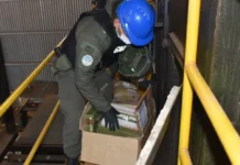Corrientes: incineraron más de 3 mil kilos de droga
