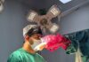 Hospital Regional: Extirpación de Tumor debase de craneo