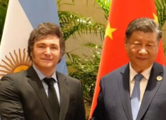Argentina compite con Brasil para convertirse en un gran socio comercial de China