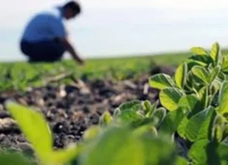 Un agrónomo sufrió una intoxicación y piden reforzar la prevención