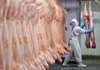 Economía libertaria: el consumo de carne vacuna cayó a su nivel más bajo en los últimos 20 años