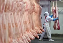 Economía libertaria: el consumo de carne vacuna cayó a su nivel más bajo en los últimos 20 años