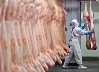 Economía libertaria: el consumo de carne vacuna cayó a su nivel más bajo en los últimos 20 años