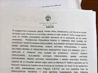 Edicto: Fundacion pequeños pasos c/ Trinidad Diaz Alemis de Gonzalez, Vicente r. Perugorria.