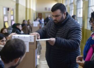 El gobierno no tiene el apoyo para eliminar las Paso