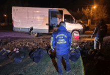 Atraparon a una banda de boqueteros que planeaban un golpe a un banco