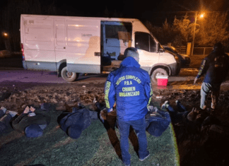 Atraparon a una banda de boqueteros que planeaban un golpe a un banco