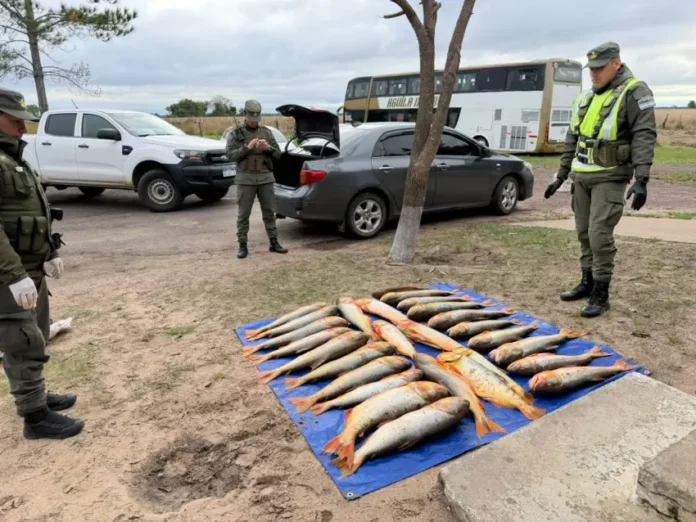 PESCADO