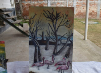 Programa “Pintando Libertad”