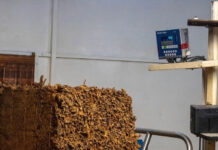 El IPT actualizó datos del acopio de tabaco criolla correntino