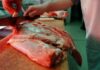 El consumo de carne vacuna cayó a su nivel más bajo en los últimos 20 años