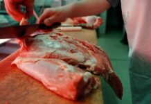 El consumo de carne vacuna cayó a su nivel más bajo en los últimos 20 años
