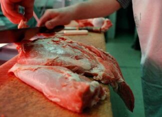 El consumo de carne vacuna cayó a su nivel más bajo en los últimos 20 años