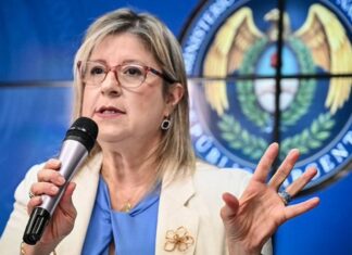 El Gobierno creó un nuevo programa de seguridad