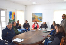 Goya proyecta su potencial al mundo