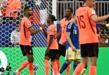 Países Bajos goleó a Suecia y quedó cerca de los 16avos del Mundial