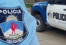 Neuquén: encontraron restos óseos dentro de un contenedor de basura