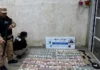 Millonario decomiso y cuatro detenidos de una banda narco en Corrientes