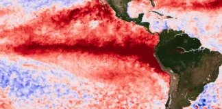 Fenómeno El Niño: pronósticos internacionales anticipan un evento histórico