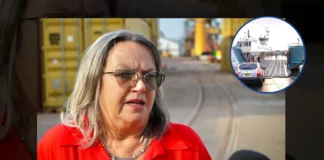 “Es una necesidad”: plantean el regreso de balsas entre Corrientes y Chaco