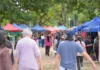 Corrientes prepara el Encuentro Provincial de Ferias Francas