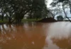 El río Uruguay superó el nivel de alerta en Santo Tomé