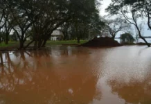 El río Uruguay superó el nivel de alerta en Santo Tomé