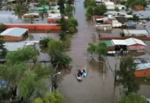 Profesor Neiff sobre el fenómeno de El Niño 2026