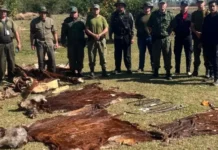 Cuatreros en Corrientes: los detuvieron hace dos días
