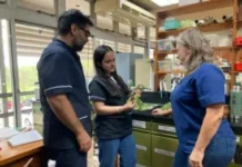 Estudian la toxicidad de “yuyos medicinales”