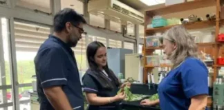 Estudian la toxicidad de “yuyos medicinales”