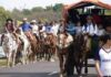 La peregrinación a Itatí tendrá un operativo veterinario