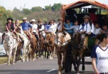 La peregrinación a Itatí tendrá un operativo veterinario