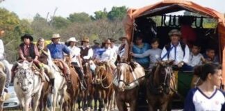 La peregrinación a Itatí tendrá un operativo veterinario