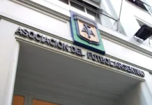 Regreso de la Selección: AFA suspendió los partidos del lunes y martes