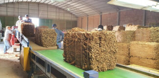 El acopio de tabaco en Goya supera el millón de kilos